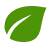 green shipping